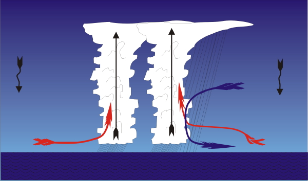Figure 14.5: Cooling and drying of tropical boundary layer by convection