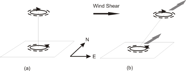 Figure 18.6: Wind shear pushes the anticyclone at storm top off to one side