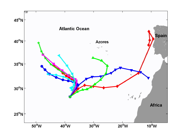 Figure 29.5: Numerical forecasts of the track of Hurricane Kate in 2003